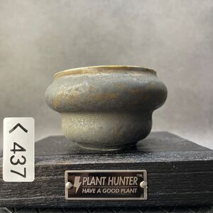 く437 HAND Made 植木鉢 陶器検（アガベ パキプス invisible ink raw life factory SRL 楽カタチ製作所 グラキリス 塊根植物 信楽焼 亀甲竜