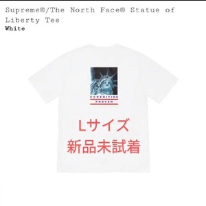 Supreme / The North Face Statue of Liberty Tee