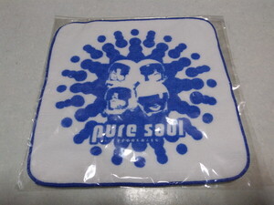 ◆　GLAY　グレイ　PURE SOUL 【　ハンドタオル　】　未開封新品♪