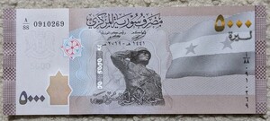 ★シリア反対派勝利記念★　アサド政権　最高額　5000シリア・ポンド　未使用　高額　ピン札　外国紙幣