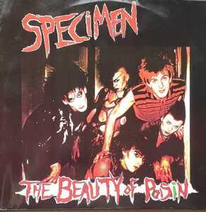 80s New wave SpecimenThe Beauty Of Poisin 12インチレコード