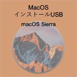 (v10.12) macOS Sierra インストール用USB [1]