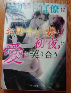 エリート官僚はお見合い妻と初夜に愛を契り合う （ベリーズ文庫　ほ３－６） 宝月なごみ／著