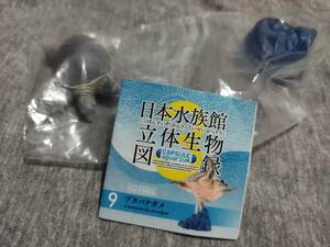 絶滅危惧種かめ！絶版水族館限定ネイチャーフィギュア亀海洋堂日本水族館立体生物図録3ブタバナガメ/スッポンモドキ未開封品