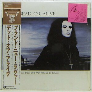 LP,デッドオアアライブ　DEAD OR ALIVE　ブランドニュラヴァー