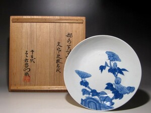 時代　鍋島芙蓉絵皿　十三代今右衛門鑑定の逸品☆ｃ89