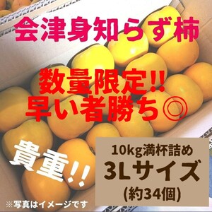 【値下げ!!】会津身知らず柿　みしらず柿　柿　3Lサイズ10キロ満杯詰め