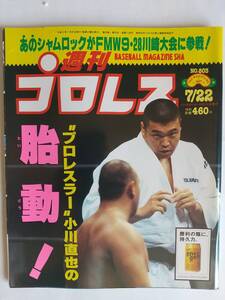 週刊プロレス 1997/7/22 NO.803 表紙：小川直也