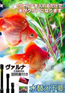 金魚の飼育に最適！水槽の透明度を保ちます！ヴァルナ8cm☆有害物質、病原菌も強力抑制！水替えも不要になります！筒を水槽に入れるだけ！