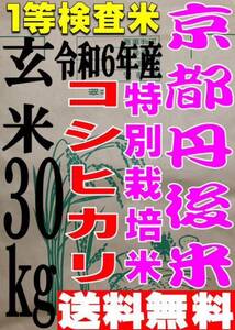 【送料無料 一等検査 特別栽培米】新米 玄米 令和6年産 京都 丹後 コシヒカリ 30kg