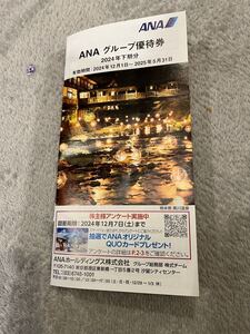 ANA 株主優待 グループ優待券