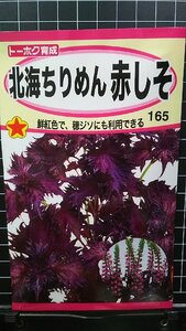 ３袋セット 北海 ちりめん 赤 しそ アカシソ 種 郵便は送料無料