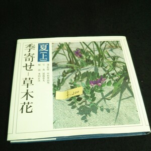 f-200 季寄せー草木花〔夏・上〕朝日新聞社 昭和55年第1刷発行※14