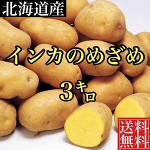 北海道産 幻のじゃがいも　インカのめざめ　正味3キロ　送料無料