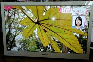 【美品】ソニー22インチ液晶テレビKDL-22EX420ホワイト【正常動作品・スタンド有】SONY BRAVIA地デジ・BS・110度CS