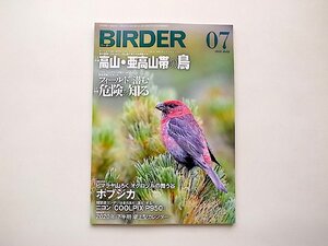 BIRDER(バーダー)2020年7月号●特集=高山・亜高山帯の鳥/フィールドに潜む危険を知る