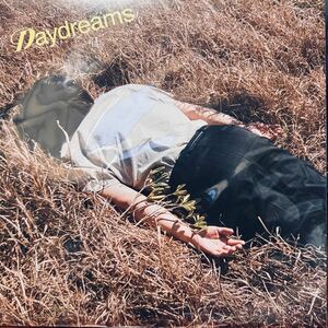 LP Michael Kaneko マイケル・カネコ Daydreams アナログ盤