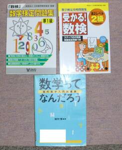 まとめて3冊■数学ってなんだろう現代数学入門講義集 数学実用数学技能検定要点整理数学検定2級&準1級　中高生数学オリンピック