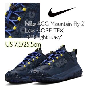 Nike ACG Mountain Fly 2 Low GORE-TEX 