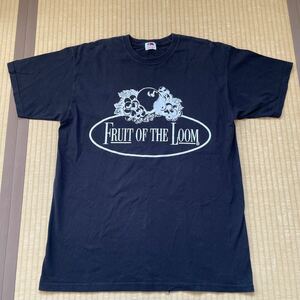 フルーツオブザルーム Tシャツ FRUIT OF THE LOOM 半袖Tシャツ fruit of the loom ロゴTシャツ