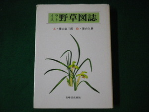 ■イラスト 野草図誌　菱山忠三郎 文 菱山久世 絵　有峰書店新社　昭和61年■F3SD2021010810■