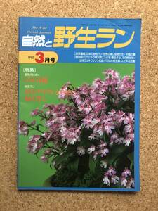 自然と野生ラン 1995年3月号 ※春蘭 ユキワリソウ エビネ ※ 園芸JAPAN