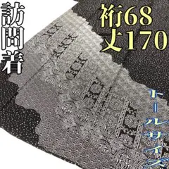 【着物と帯 時流】H2506◇正絹 訪問着◇トールサイズ 美品 紋なし 丈170