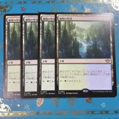 植物の聖域 4枚 MTG