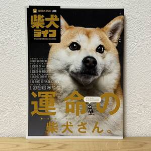 ▼柴犬ライフ 2020 WINTER ISSUE vol.2 冬号 運命の柴犬さん。/保護柴のこと/柴犬の認知症/柴犬フード術/20歳まで生きる！/皮膚病を治す