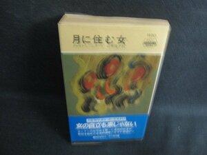 月に住む女　ドナルド・レームクール　日焼け強/KAE