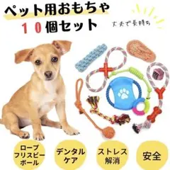 ☘️新品未使用☘️犬のおもちゃ10個セット 頑丈 ストレス解消 犬 猫