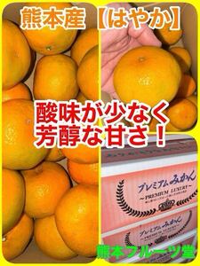 【この時期希少！】芳醇な甘さ！即発送！熊本産 【はやか】中サイズ秀品約3k熊本フルーツ堂87