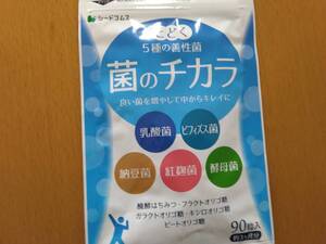 【送料込み】菌のチカラ　約３ヶ月分 サプリメント 健康食品 新品 