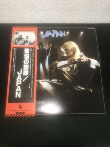 JAPANジャパン 苦悩の旋律 帯付 VIP-6593