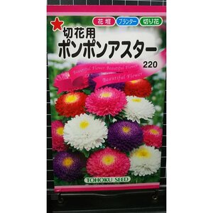 ３袋セット ポンポン アスター 切花用 種 郵便は送料無料