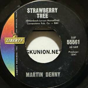 Hawaii Exotic 45RPM Mellow Hawaiian Martin Denny/ Quiet Village Bossa Nova - Strawberry Tree　ハワイレコード