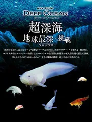 【中古】NHKスペシャル ディープ オーシャン 超深海 地球最深(フルデプス)への挑戦 [DVD]