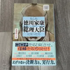 もしも徳川家康が総理大臣になったら