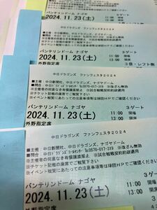 中日ドラゴンズ　ファンフェスタ　2024 チケット　外野指定席4枚　通路側から4枚連番　前から3列目