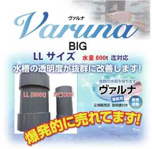 池の水が綺麗になります☆【ヴァルナ超特大】800トン浄化します！病原菌や感染症を防ぎ有害物質を強力抑制！透明度が抜群に！5年以上維持！