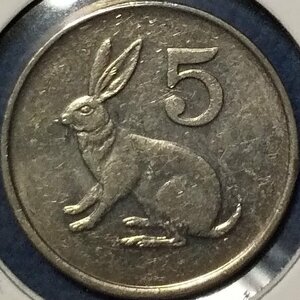 (C-579)ジンバブエ　5セント白銅貨　1999年　ウサギ　③
