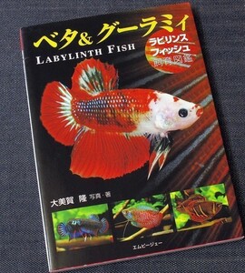 ベタ&グーラミィ―ラビリンスフィッシュ飼育図鑑｜人気観賞魚 品種カタログ 飼い方 繁殖 病気対策 改良ベタ ワイルドベタ グラミー 闘魚#d