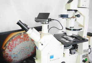 蛍光・位相差 倒立顕微鏡　対物3本　完動品 Zeiss Axiovert 135 Fluorescence Phase contrast microscope with SONY digital camera. 