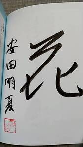 【直筆サイン入り】安田明夏　とってもやさしい囲碁入門　囲碁女流棋士　囲碁フォーカス　NHK杯司会