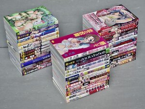 まとめ売り!!｜アダルト成年コミック ダンボール一箱分〈まとめて41冊セット〉【H】◆ゆきのゆきかぜ/みさくらなんこつ/ちとせ凛/他