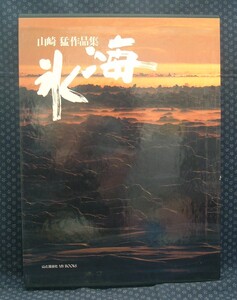 【 氷海 山崎猛作品集 】山と溪谷社 MY BOOKS 署名有り