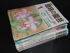 ｓ■趣味の園芸１２冊セット/昭和61～62年バラ/ドウダンツツジ、ファレノプシス、シンビジューム、デンドロビューム他