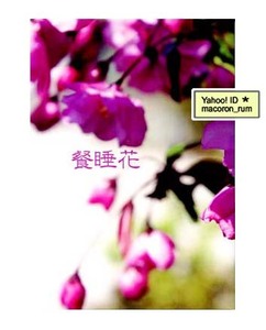 ゴーストハント同人誌★ umbra in luce 師走朔【餐睡花】ナル×麻衣 ナル麻衣 調査