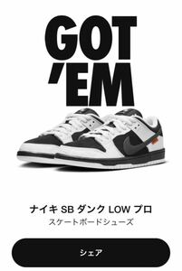 NIKE SB TIGHTBOOTH Dunk Low Pro QS