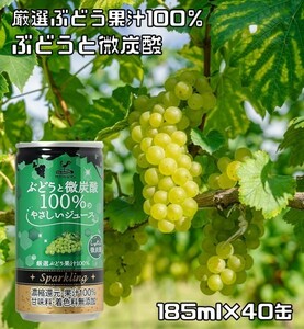 ぶどうと微炭酸 100%のやさしいジュース 185ml×40缶 神戸居留地 ぶどうジュース グレープジュース 富永貿易 炭酸飲料